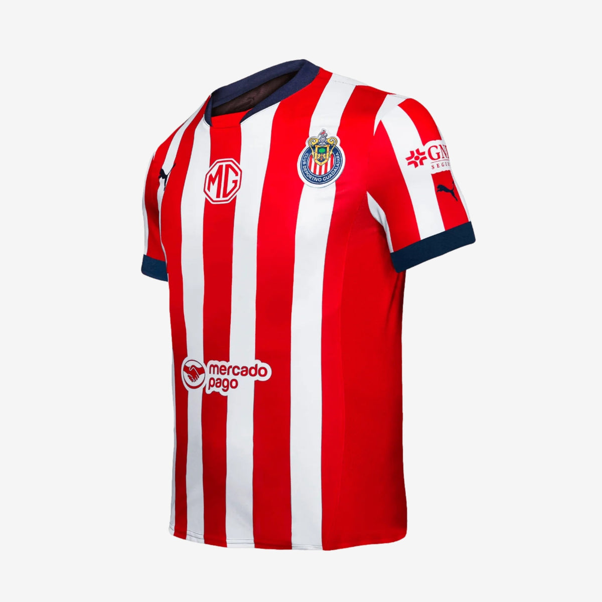 PUMA Chivas 2024/25 Stadium Home