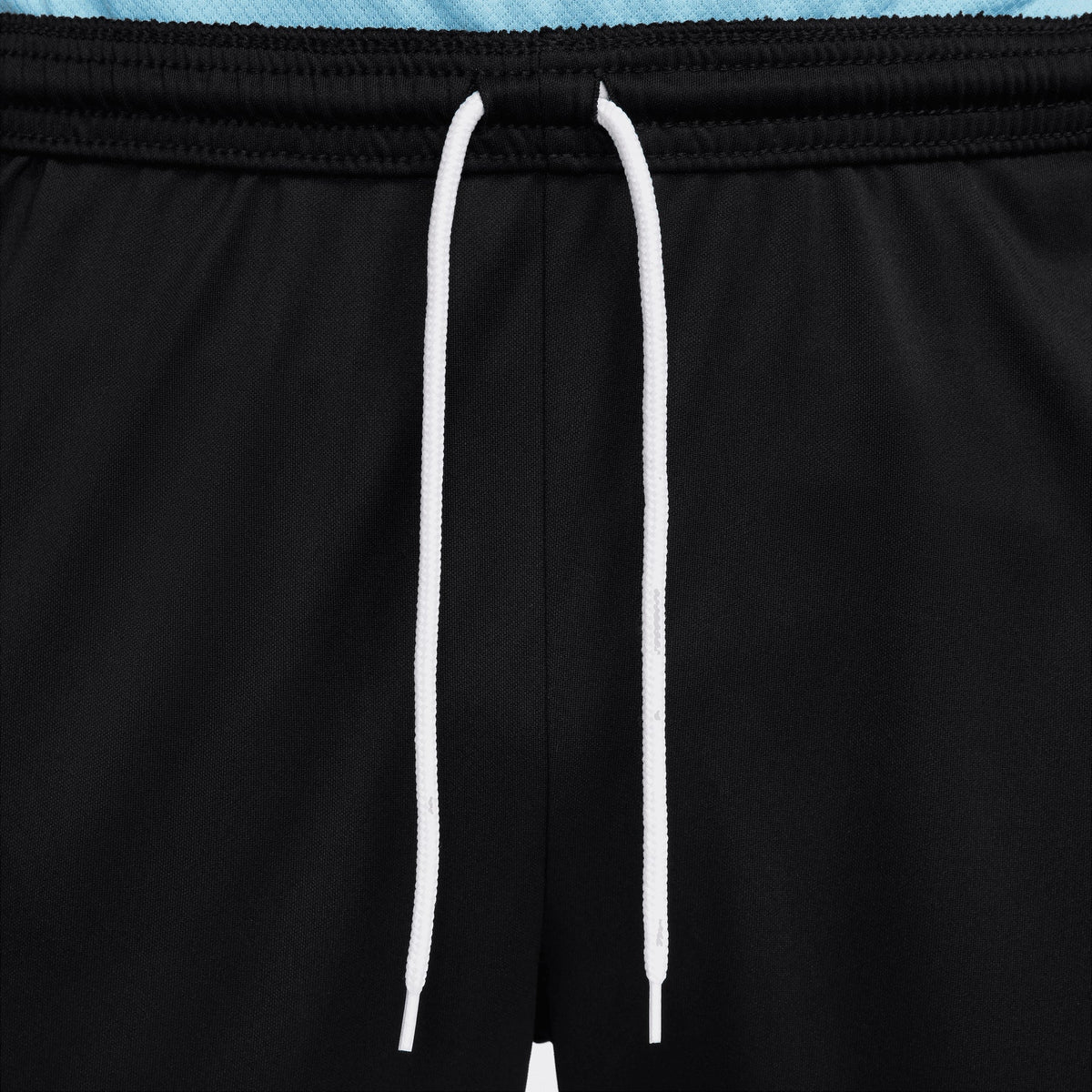 Nike Park 20 Pant