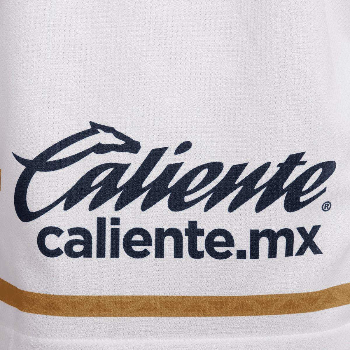Nike Pumas UNAM 2024/25 Stadium Home