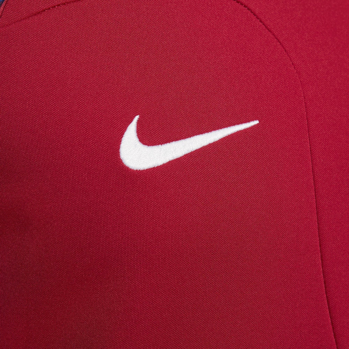 Nike FC Barcelona Academy Pro